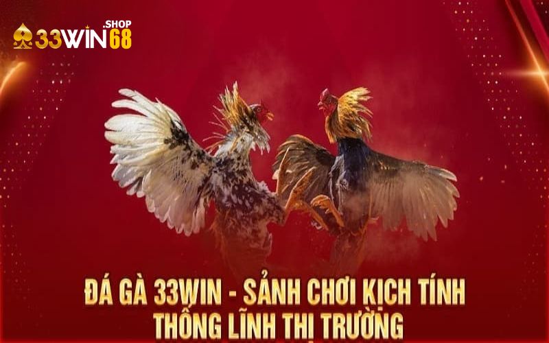 Sức hút của đá gà 33WIN68 được nhiều người chơi yêu thích